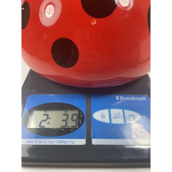 Unbranded Kitchen Whistling Teapottea Kettle Ladybug Tea Kettle Poshmark